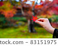 Woman's hand grabbing autumn leaves 83151975