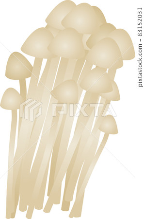 金針菇的矢量圖解 金針菇的矢量圖解 83152031