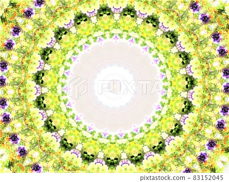 Purple Roses Purple Roses 83152045