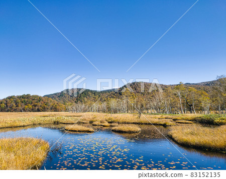Autumn Ozegahara pond and sheep grass Autumn Ozegahara pond and sheep grass 83152135