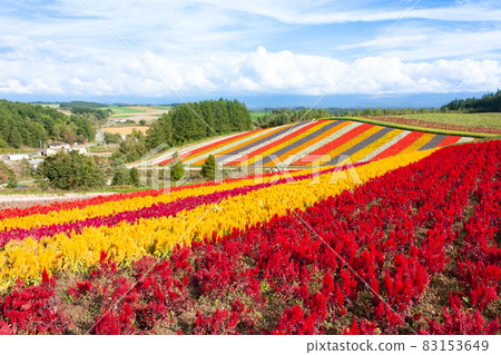 Shikisai no Oka Hokkaido 83153649