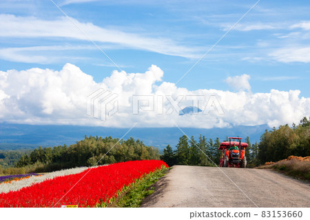 Shikisai no Oka Hokkaido 83153660