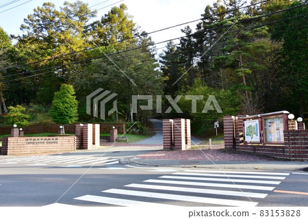 Yamanakako Literature Forest Main Gate and Literature Forest along National Highway 138 83153828