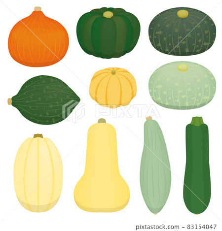 各種南瓜的插圖 83154047