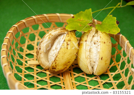 Akebi Akebi 83155321