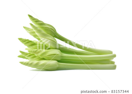 moonflower isolated on white background moonflower isolated on white background 83157344