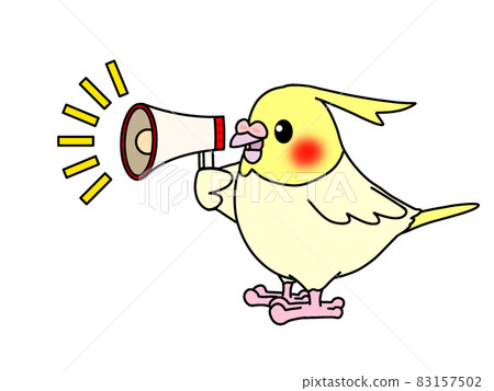 Call for cockatiels 83157502