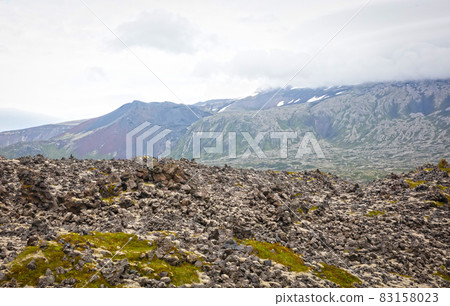Old lava field covered with green moss Old lava field covered with green moss 83158023