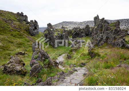 Old lava field covered with green moss 83158024