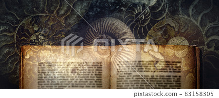 化石和舊書,如菊石。考古和地質圖像 化石和舊書,如菊石。考古和地質圖像 83158305