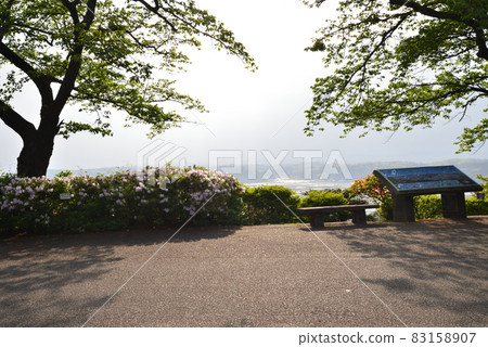 I stopped by Shiroyama Park # 17 I stopped by Shiroyama Park # 17 83158907