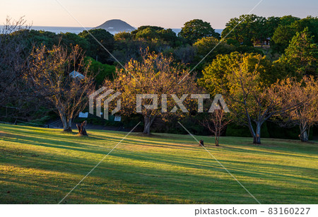 Autumn scenery of cosmos blooming in Nokonoshima Island Park in the blue sky 83160227