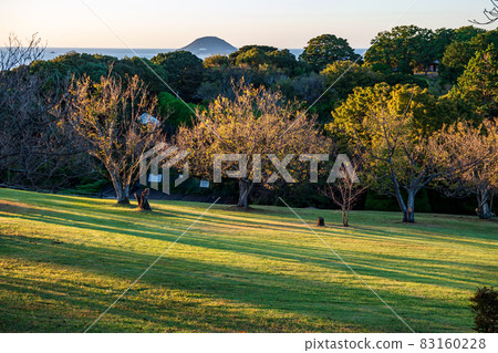 Autumn scenery of cosmos blooming in Nokonoshima Island Park in the blue sky Autumn scenery of cosmos blooming in Nokonoshima Island Park in the blue sky 83160228