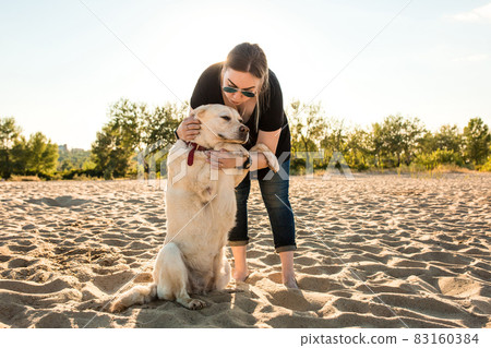 Young female training labrador retriever dog on the beach at sunset Young female training labrador retriever dog on the beach at sunset 83160384