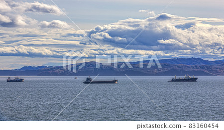 Fishing seiners and cargo ships in Avacha Bay in Kamchatka peninsula 83160454