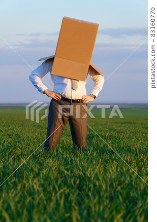 businessman puts his head in a cardboard box and poses on a green grass field - business concept businessman puts his head in a cardboard box and poses on a green grass field - business concept 83160770