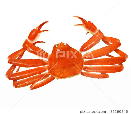 華麗的螃蟹插畫矢量素材 83160846