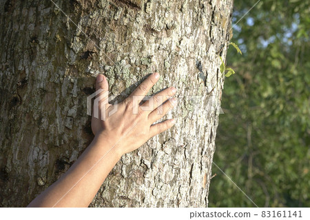 Man's hand touching tree bark. 83161141