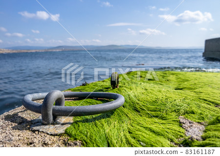 Seaweed on the pier by Marmeelan and Falcorrib south of Dungloe, County Donegal - Ireland Seaweed on the pier by Marmeelan and Falcorrib south of Dungloe, County Donegal - Ireland 83161187