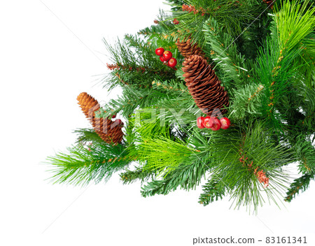 Fir tree branches close up against white background, copy space 83161341