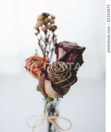 Dried rose flowers in a bay window vase 83161673