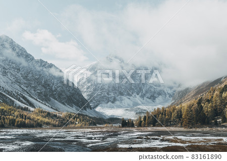 Mountain valley view. Snow covered peaks and yellow larch trees. 83161890