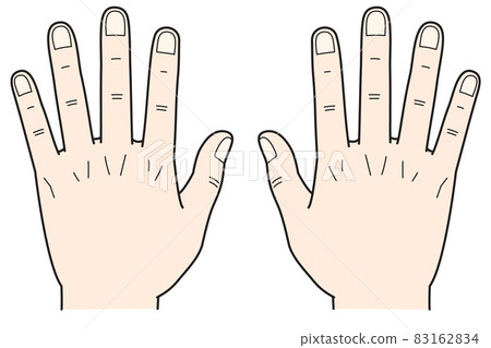 手背雙手 手背雙手 83162834