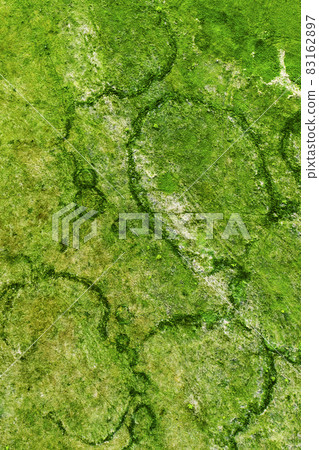 Green fields from above 83162897