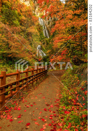 [Tenjinkyo, Higashikawa-cho, Hokkaido] Hagoromo Falls with autumn colors in October 83164202