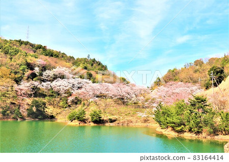 永樂水壩 / 春景 83164414