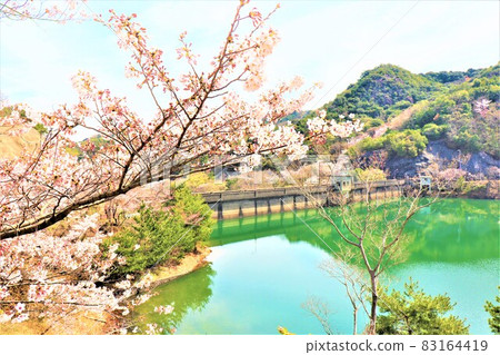 永樂水壩 / 春景 永樂水壩 / 春景 83164419