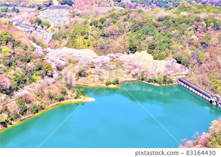 永樂水壩 / 春景 83164430