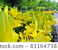 Chikusa Park 83164738