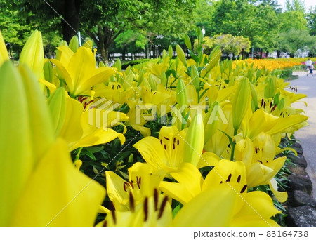 Chikusa Park 83164738