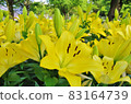 Chikusa Park 83164739