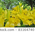 Chikusa Park 83164740