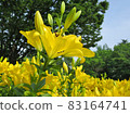 Chikusa Park 83164741