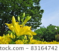 Chikusa Park 83164742