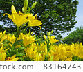 Chikusa Park 83164743