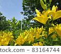 Chikusa Park 83164744