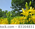 Chikusa Park 83164831