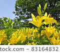 Chikusa Park 83164832
