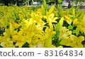 Chikusa Park 83164834