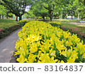 Chikusa Park 83164837