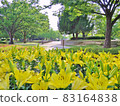 Chikusa Park 83164838