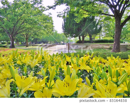 Chikusa Park 83164838