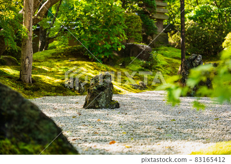 Autumn Matsushima Entsuin Ishiba Autumn Matsushima Entsuin Ishiba 83165412