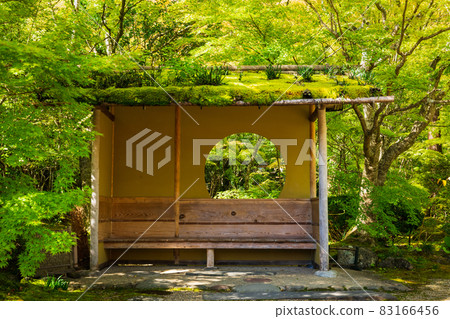 Autumn Matsushima Entsuin Garden 83166456