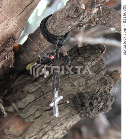 Cross on a tree in one of the Greek monasteries 83166809