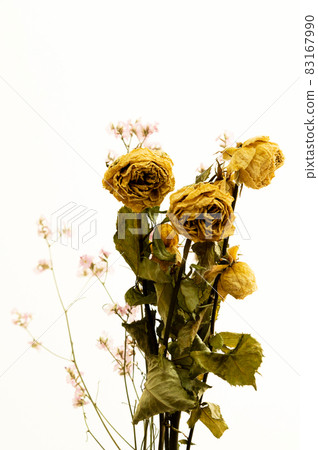 玫瑰乾花 83167990